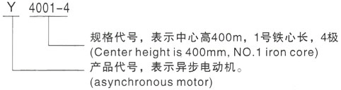 西安泰富西玛Y系列(H355-1000)高压YKK5601-8/630KW三相异步电机型号说明