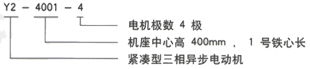 YR系列(H355-1000)高压YKK5601-8/630KW三相异步电机西安西玛电机型号说明